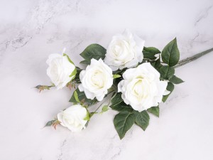 IMG_1966.jpg
