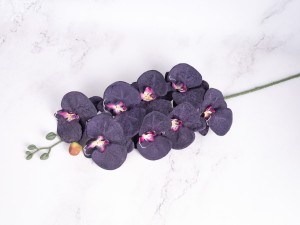 IMG_2035.jpg
