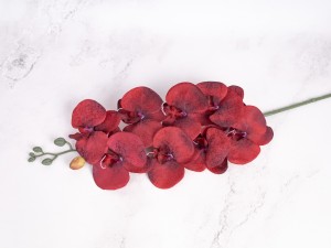 IMG_2048.jpg