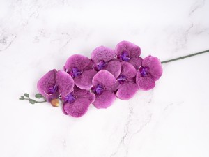 IMG_2031.jpg