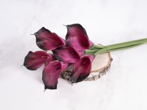 IMG_2396.jpg