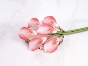 IMG_2392.jpg