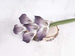 IMG_2421.jpg