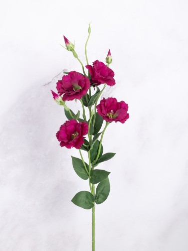 Eustoma Gałązka EG345 # Ciemny Róż/Fuksja