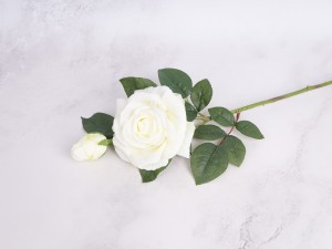 IMG_2461.jpg