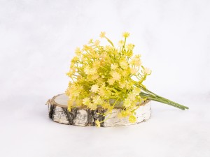 IMG_2345.jpg