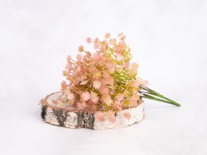 IMG_2343.jpg