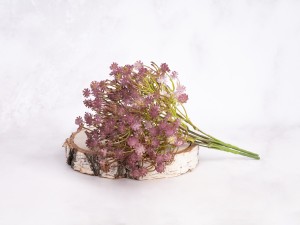 IMG_2330.jpg