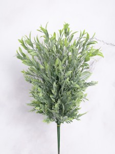 IMG_2173-2.jpg