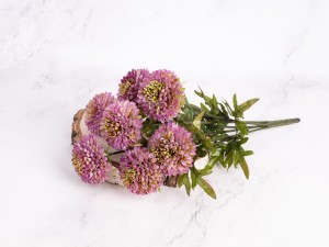 IMG_2075.jpg