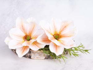IMG_2858.jpg