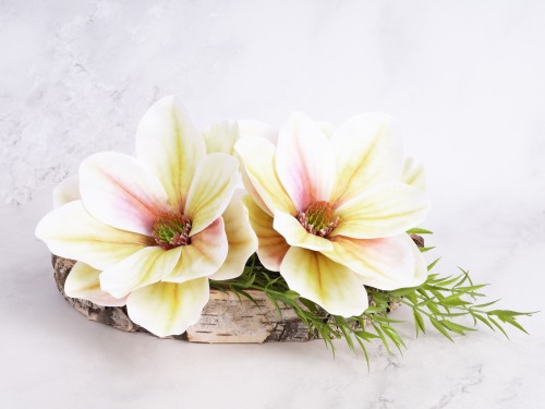 Magnolia Wyrobowa "Lateks"NEW07 # Krem/Zieleń/Oliwka (12 szt)