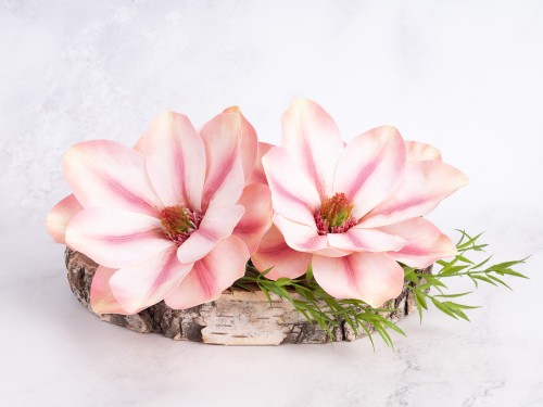 Magnolia Wyrobowa "Lateks"NEW07 # Pudrowy Róż/Brzoskwinia (12 szt)