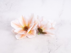 IMG_2872.jpg