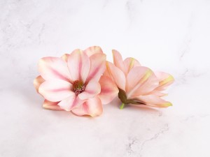 IMG_2877.jpg