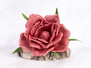 IMG_2890.jpg