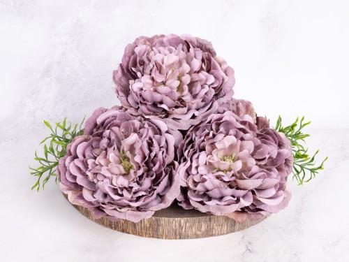 Peonia Wyrobowa PW10 # Wrzosowy z Cappuccino*32 (6 szt)