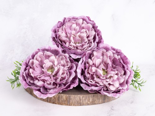 Peonia Wyrobowa PW10 # Wrzosowy Cieniowany*19 (6 szt)
