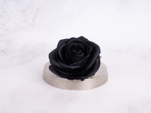 IMG_3139.jpg