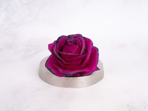 IMG_3145.jpg