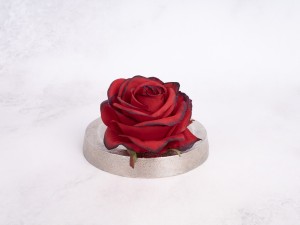 IMG_3136.jpg