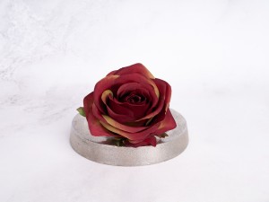 IMG_3207.jpg