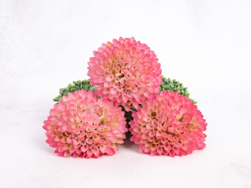 Czosnek Wyrobowy CG32 # CANDY Pink*31 (12 szt)