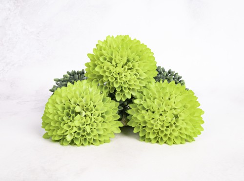 Czosnek Wyrobowy CG32 # Zieleń*32 (12 szt)