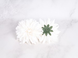 IMG_3083.jpg