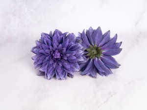 IMG_3086.jpg