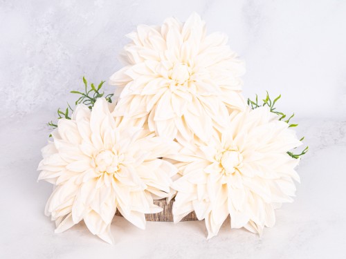 Dalia Główka Wyrobowa DW12 # Jasna Pastelowa Brzoskwinia*67 (12 szt)