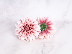 IMG_3087.jpg
