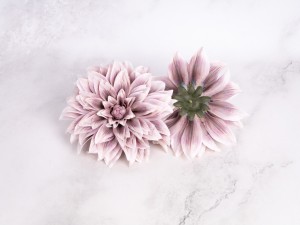 IMG_3089.jpg
