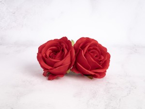 IMG_3506.jpg
