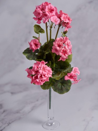 Bukiet Pelargonia PE55 # Średni Róż