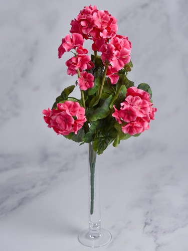 Bukiet Pelargonia PE55 # Róż Cieniowany