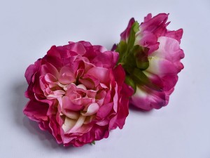 (1438).JPG