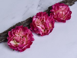 (1436).JPG