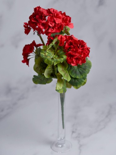 Bukiet Pelargonia PE55 # Piękna Czerwień 