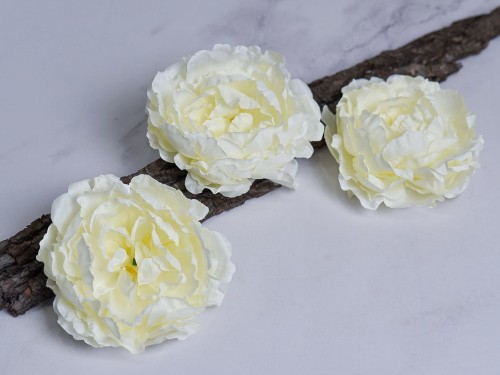 Peonia Wyrobowa L60 # Krem*34 (12 szt)