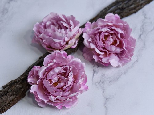Peonia Wyrobowa L60 # Pastelowy Jasny Wrzos*24 (12 szt)