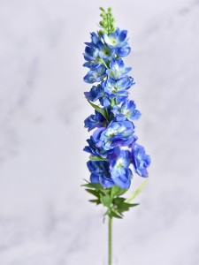 (1492).JPG