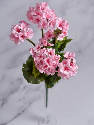 Bukiet Pelargonia PE55 # Jasny Róż